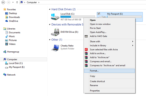 disk format for windows and mac